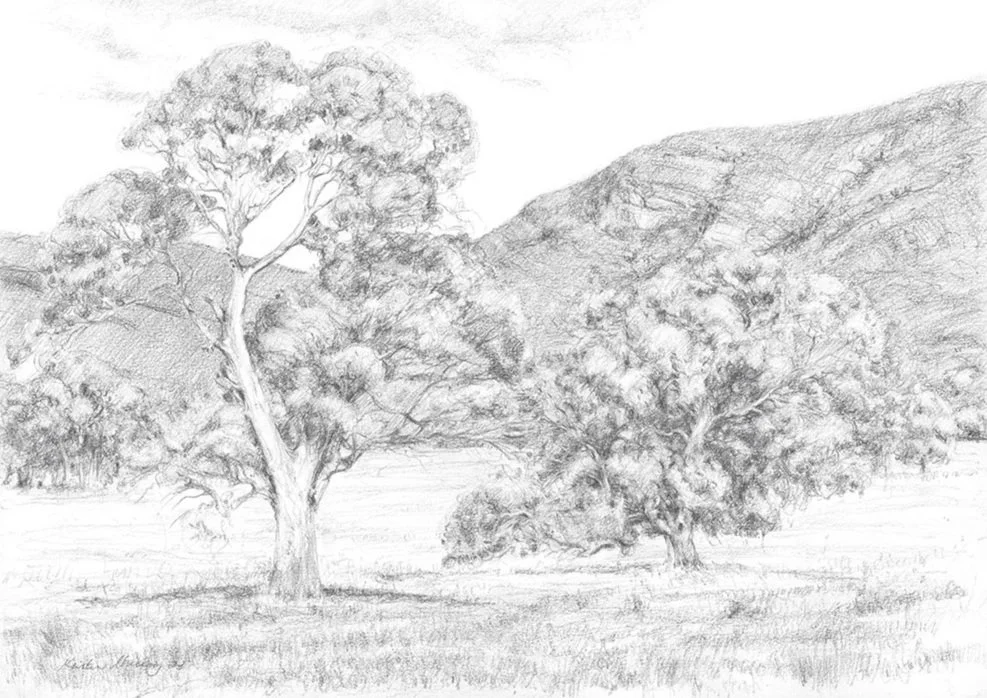 Eucalypts+Against+Gariwerd+-+Grampians+Peak_WebFile+NoWM.jpg