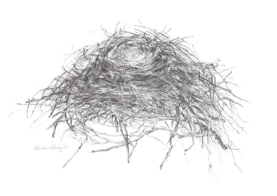 Magpie Nest_WebFile NoWM.jpg