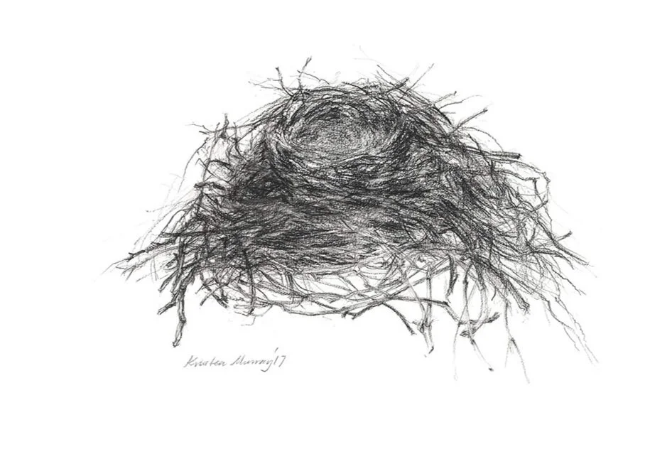 Magpie+Nest_Charcoal_WebFile.jpg