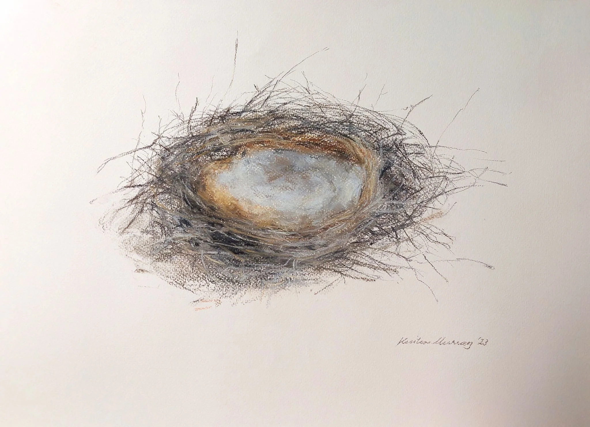Bird nest, larger, flatter 2023_Pastel_35.5x50cm_LS 441KB WF-M-NWM.jpg