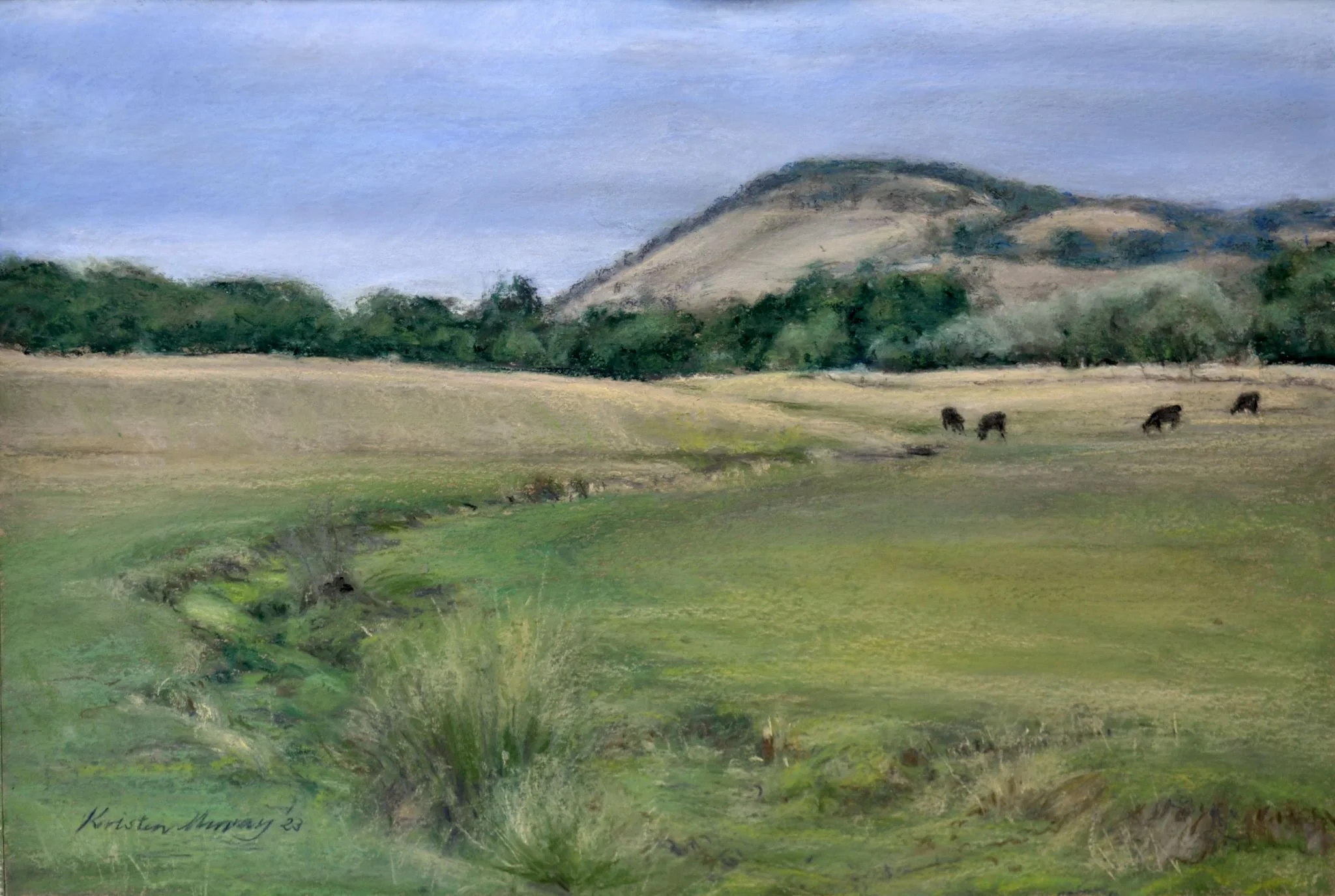 Mt Buninyong 2023_Pastel_35cm x 50cm_LS 348KB WF-M-NWM.jpg