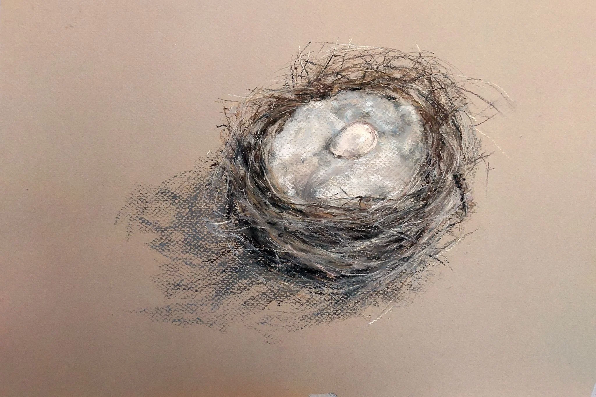 Little Wattlebird nest 2023_Pastel_A3_LS 476KB  WF-M-NWM.jpg