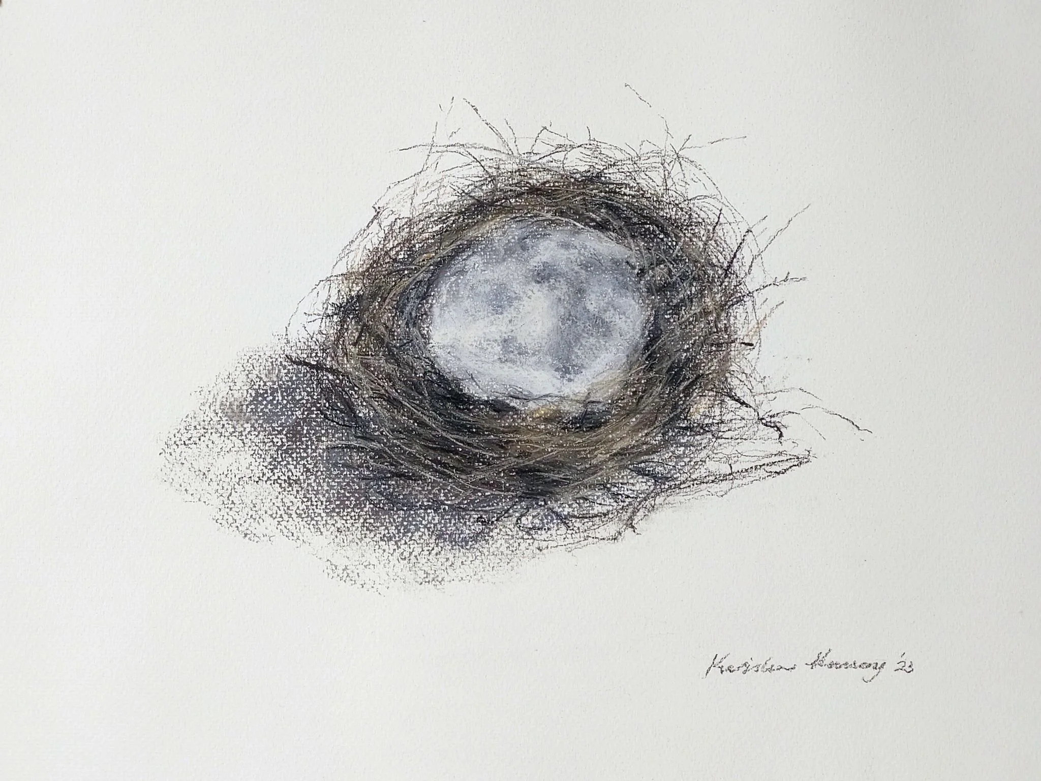 Bird nest, larger 2023_Pastel_A3_LS 463KB WF-M-NWM.jpg