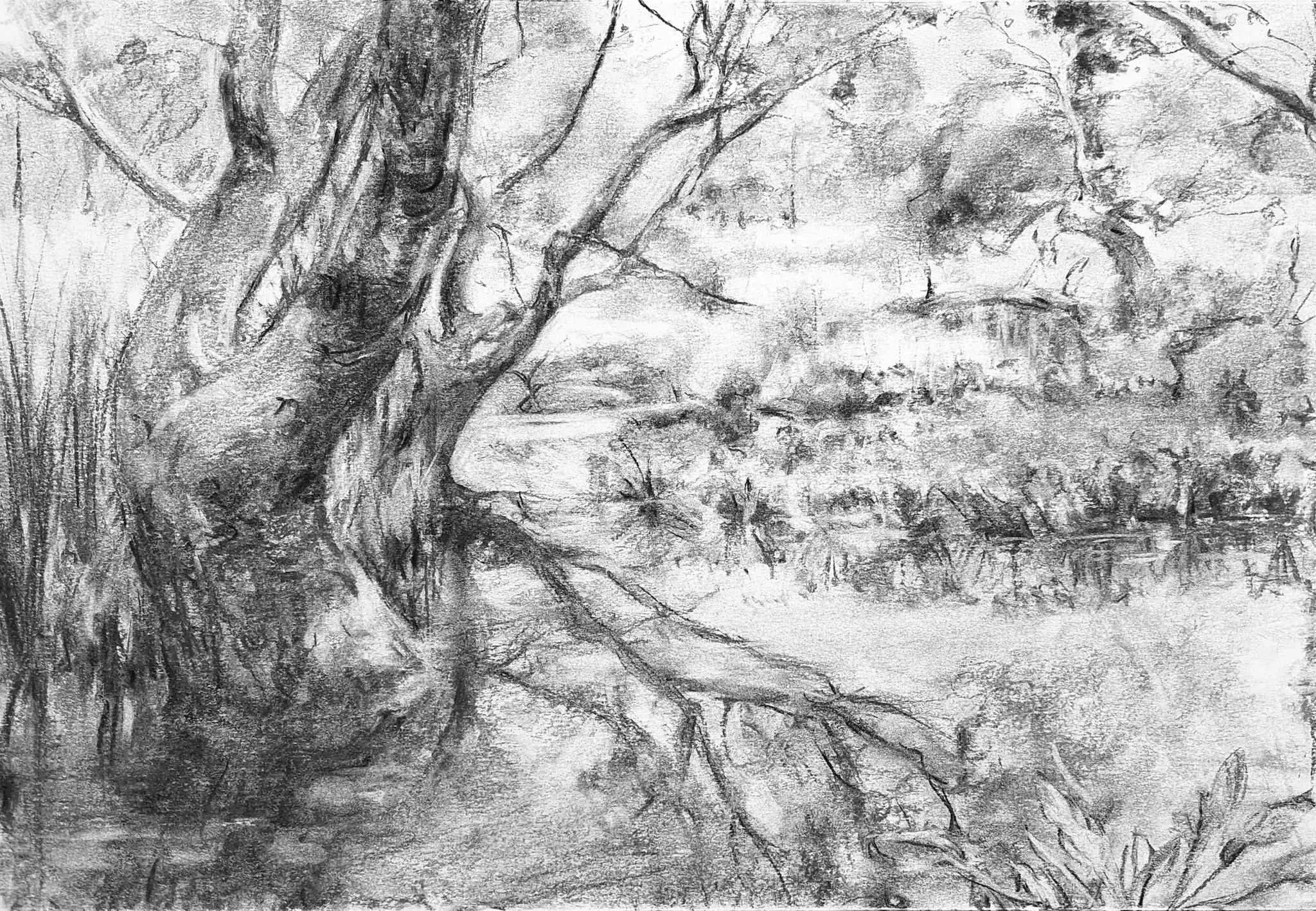 Billabong, Yarrowee Track 2023_Charcoal_A3_LS 533KB Webfile-M-NoWM-.jpg