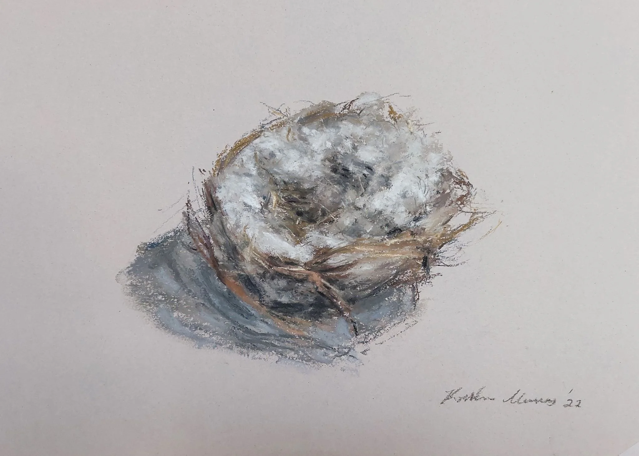 Bird nest, small 1 2022_Pastel_A4_LS 312KB WF-M-NWM.jpg