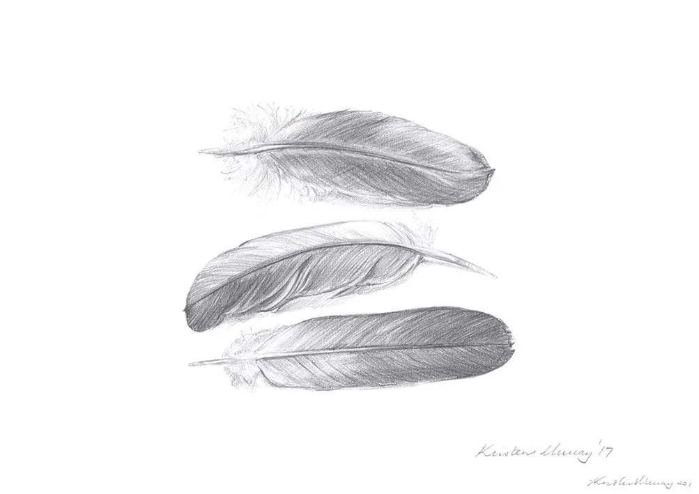 Galah Feathers - Queenscliff_WebFile NoWM.jpg