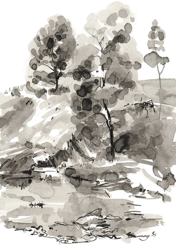 Blackwoods edging Yarrowee Creek_WebFile NoWM.jpg