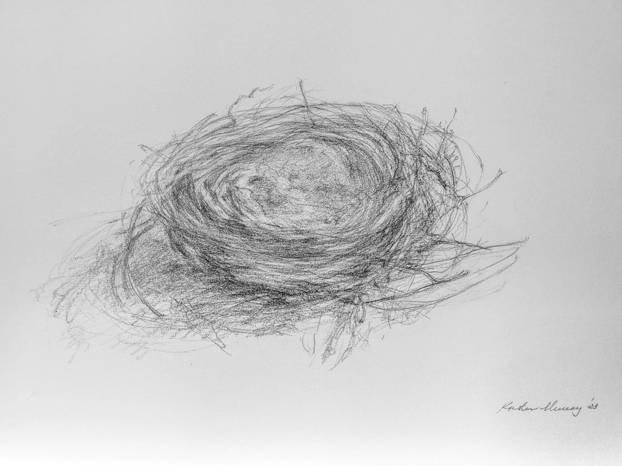 Bird nest, large 2023_Graphite_A3_LS 498KB WF-M-NWM.jpg