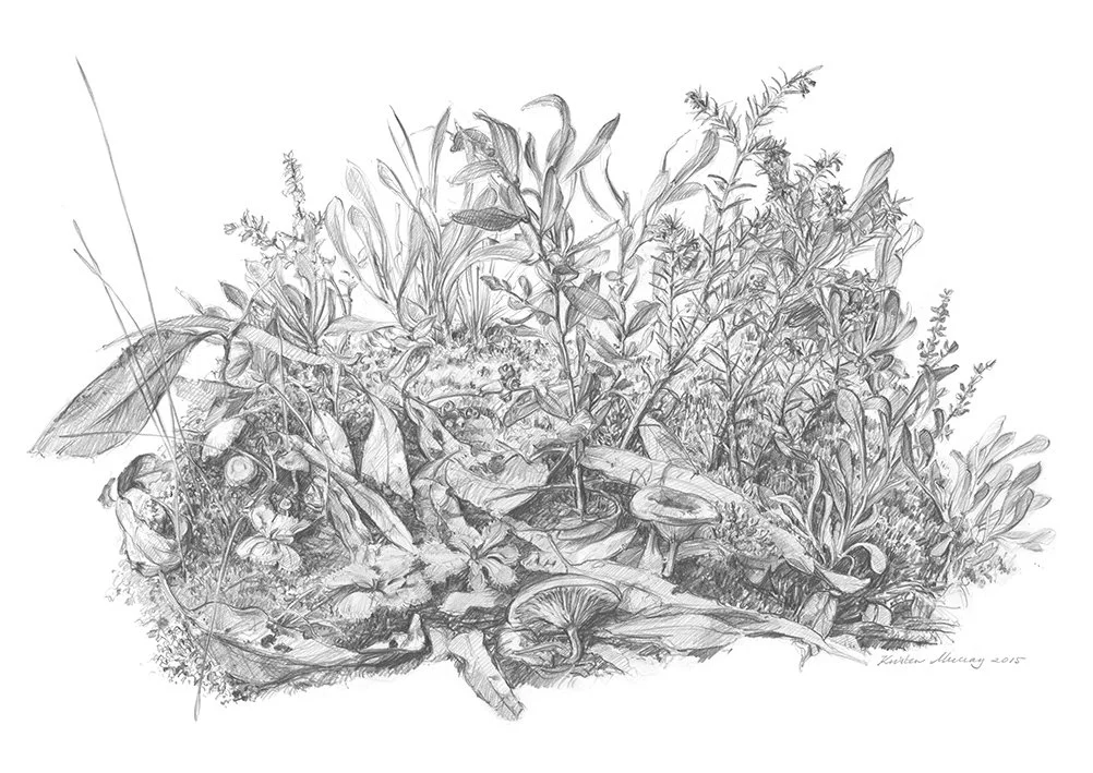 Woodsland Turf_WebFile NoWM.jpg