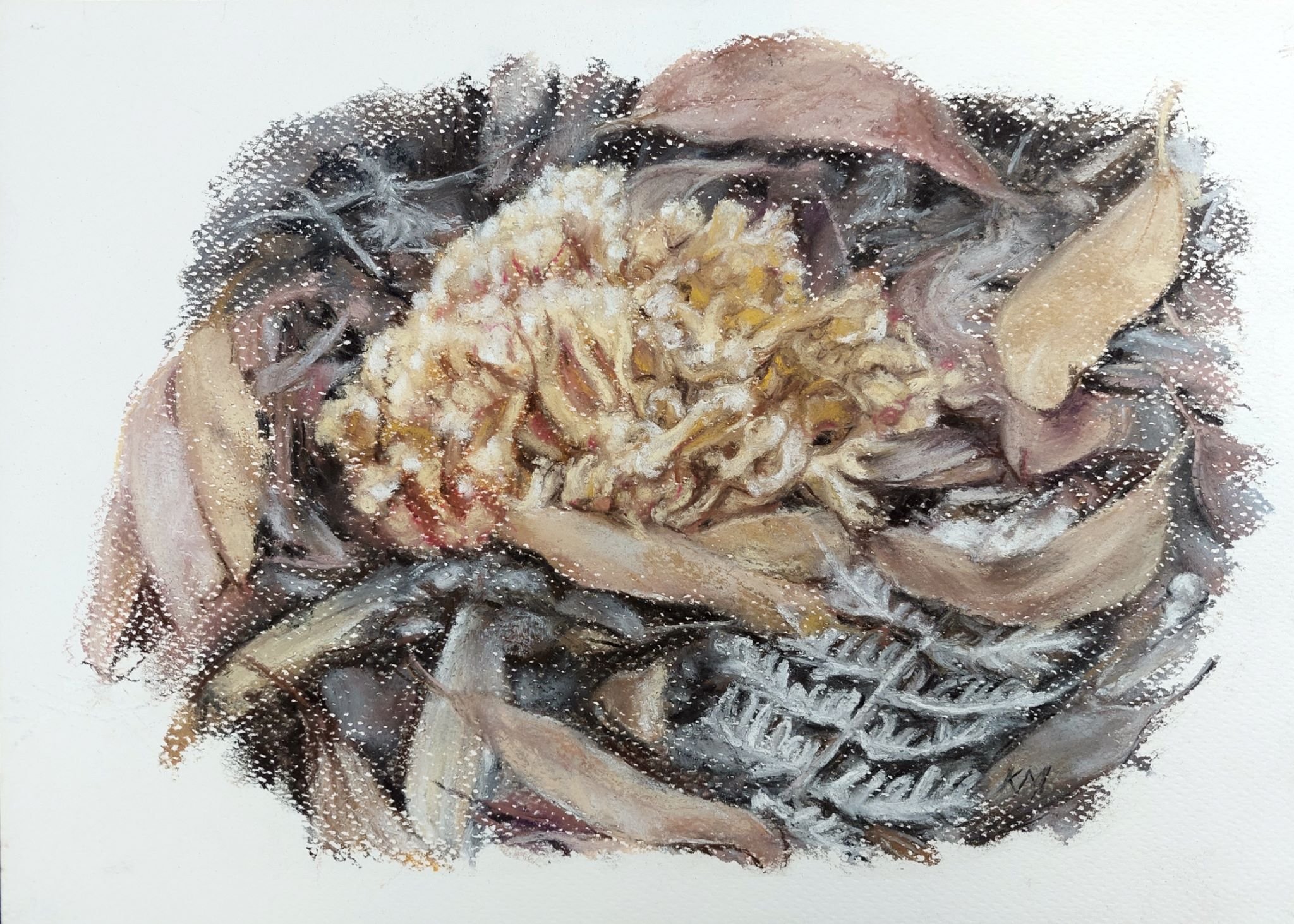 Fungi, Woowookarung 2 2023_Pastel_A4_LS 562KB WF-M-NWM.jpg