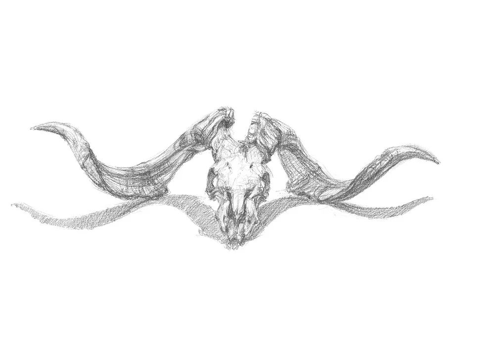Goat's Skull and Horns - Front View_WebFile NoWM.jpg