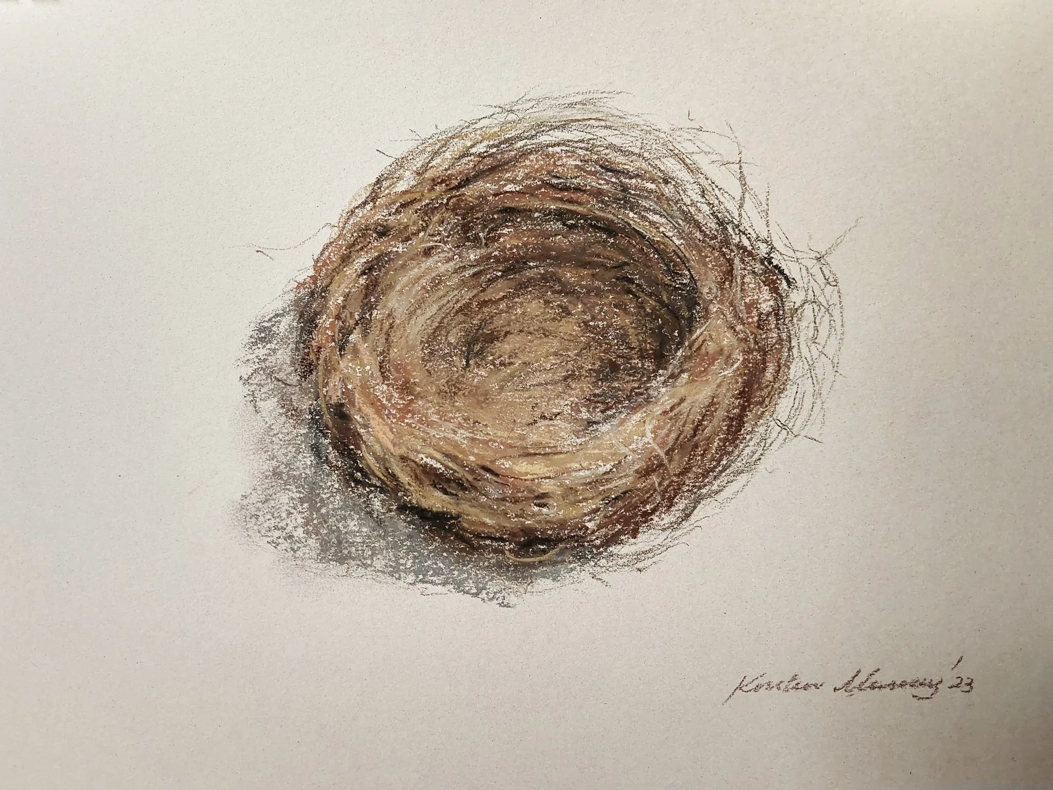 Bird nest, brown fine fibre 2023_Pastel_A4_LS 557KB WF-M-NWM.jpg