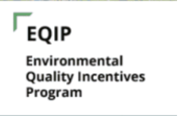 Get Paid to Perfect Your Forest: The 2026 Guide to NRCS EQIP in the Inland NW