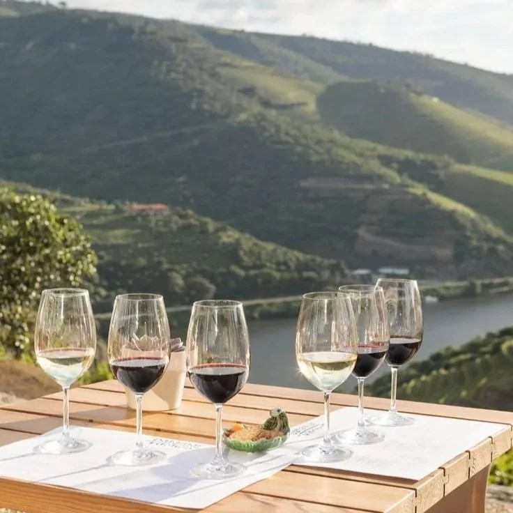 Vineyard to Table
Private tastings, sommelier-led pairings, and vineyard dinners under the stars.
📍 Napa • Mendoza • Provence • Douro Valley