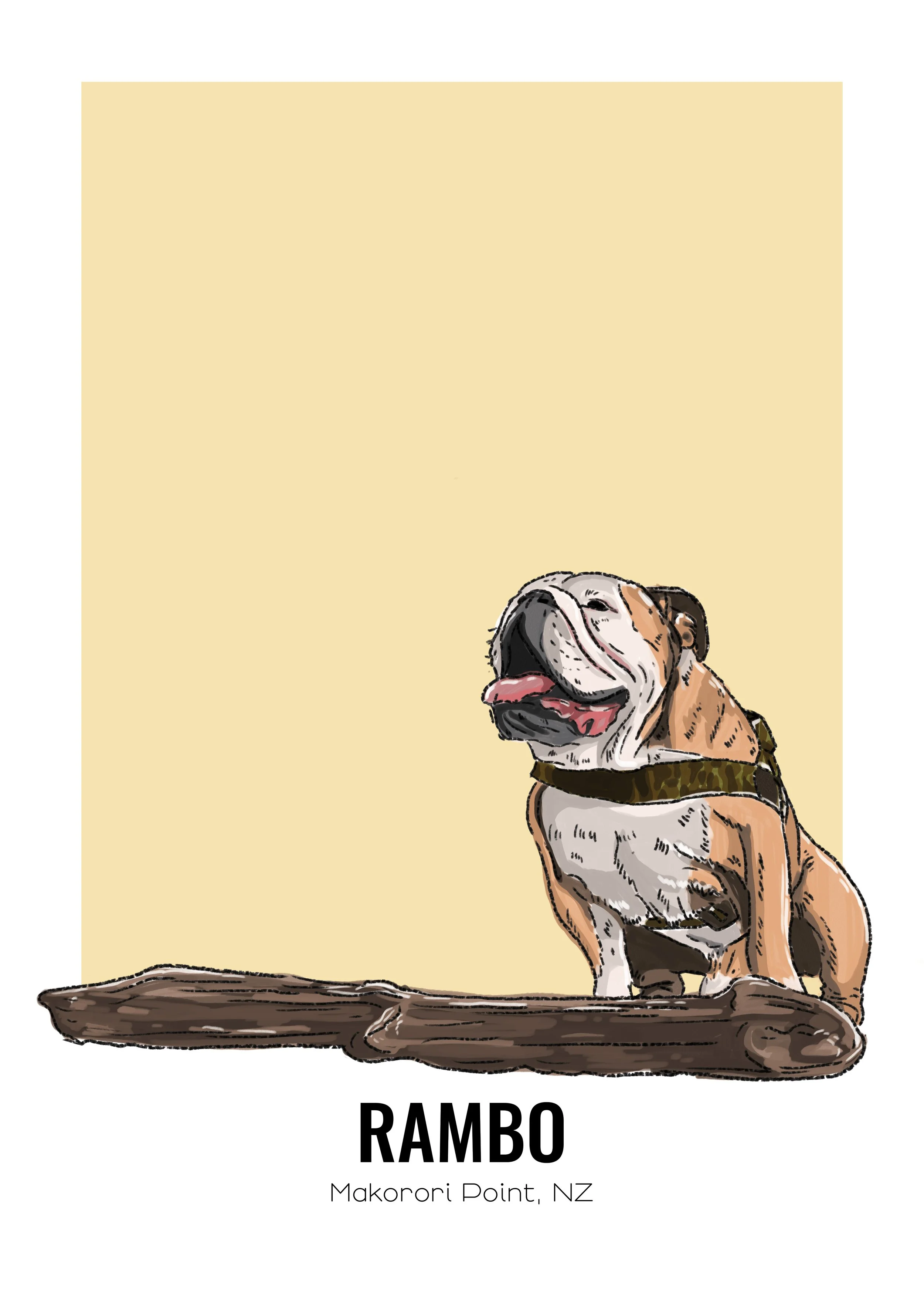 rambo8.jpg
