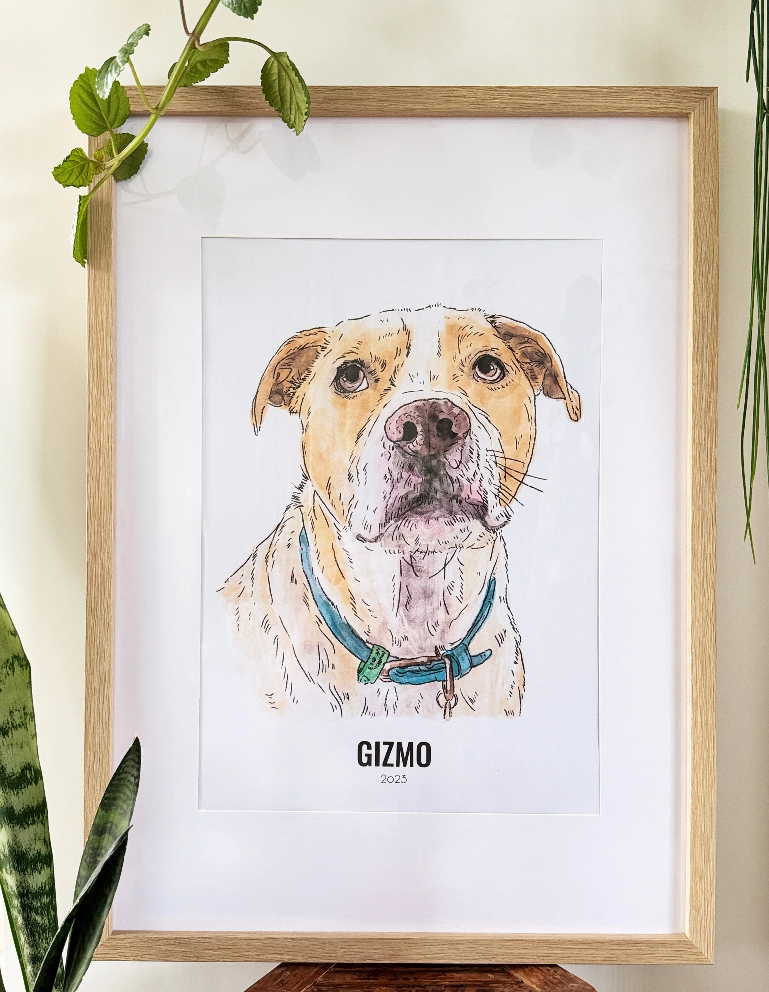 gizmo4.jpg