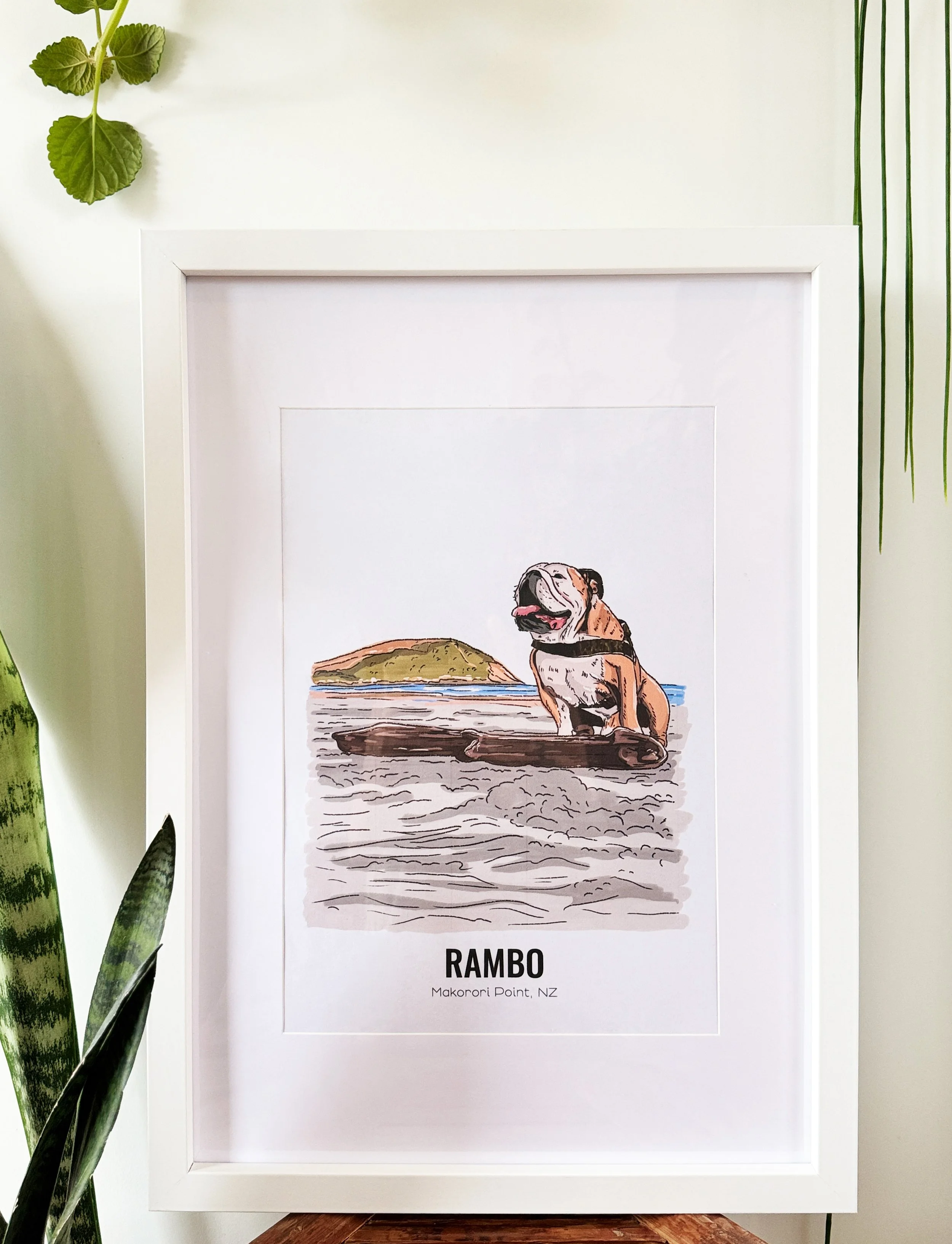 rambo1.jpg