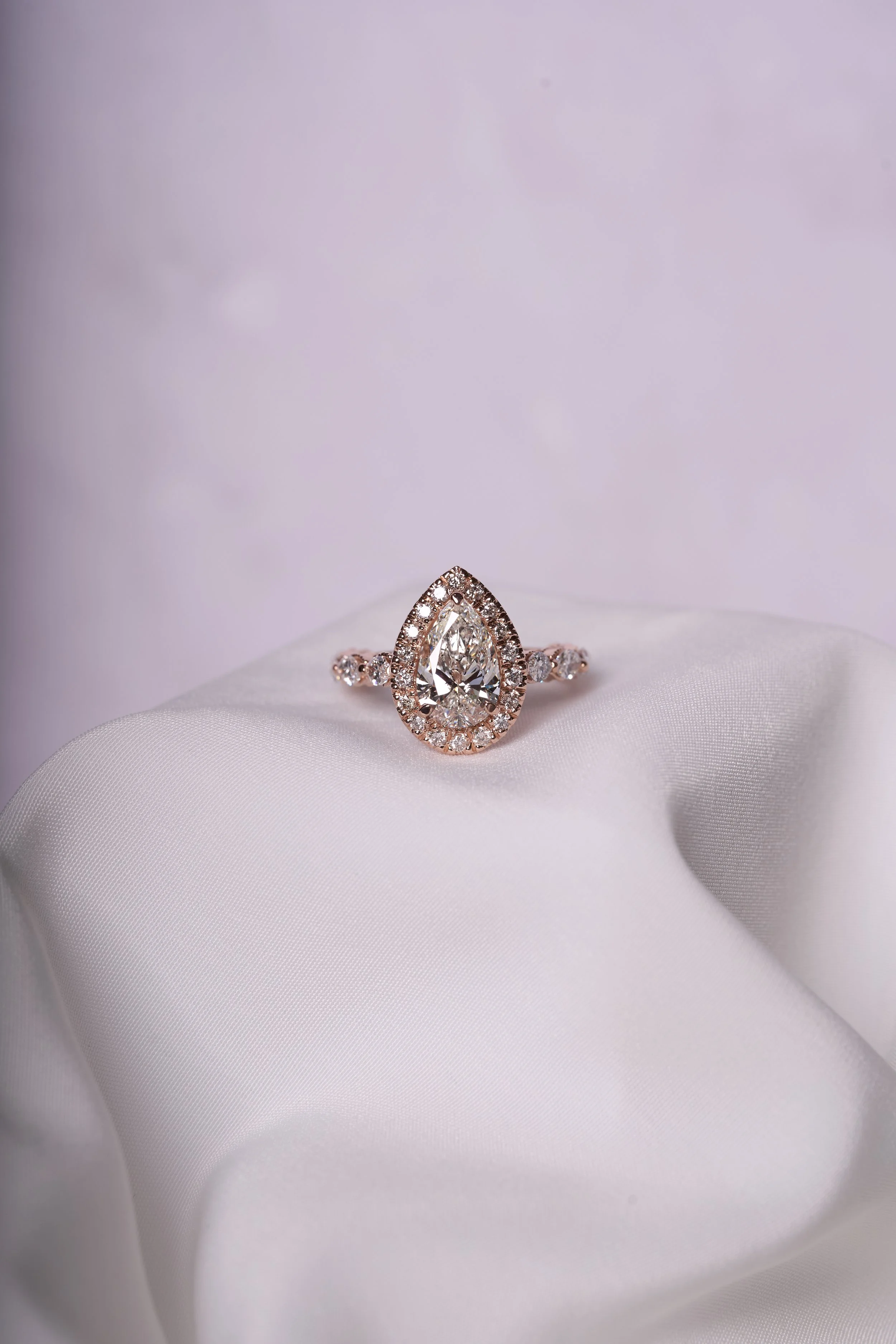 Capture One Catalog0109.JPG