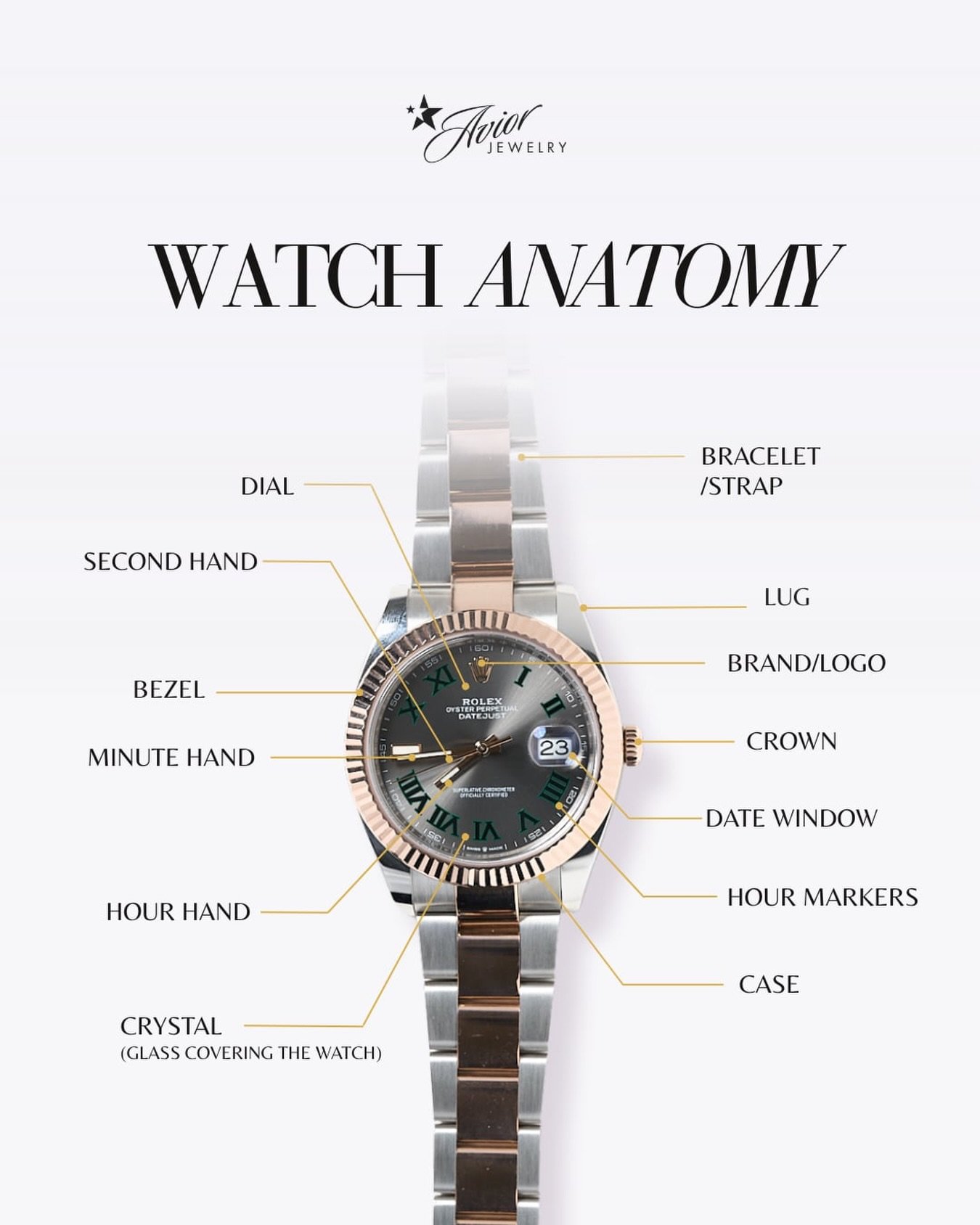 Have you ever looked at a watch and wondered how so many tiny parts work together in perfect harmony? ⌚✨ 

You&rsquo;re not alone. While the mechanics inside a timepiece are fascinating, understanding the outer anatomy&mdash;like the dial, hands, bez