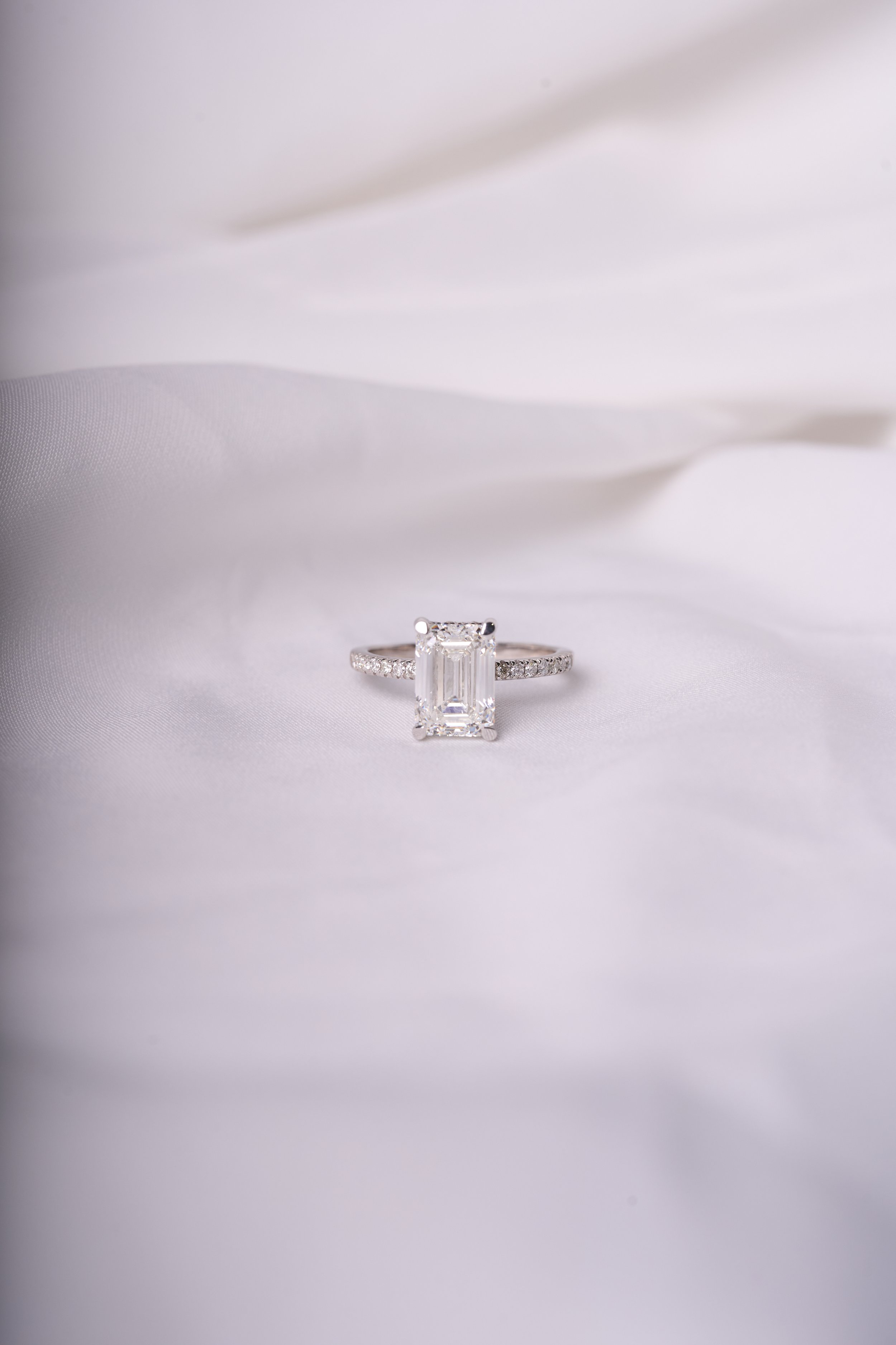 Capture One Catalog5401.JPG