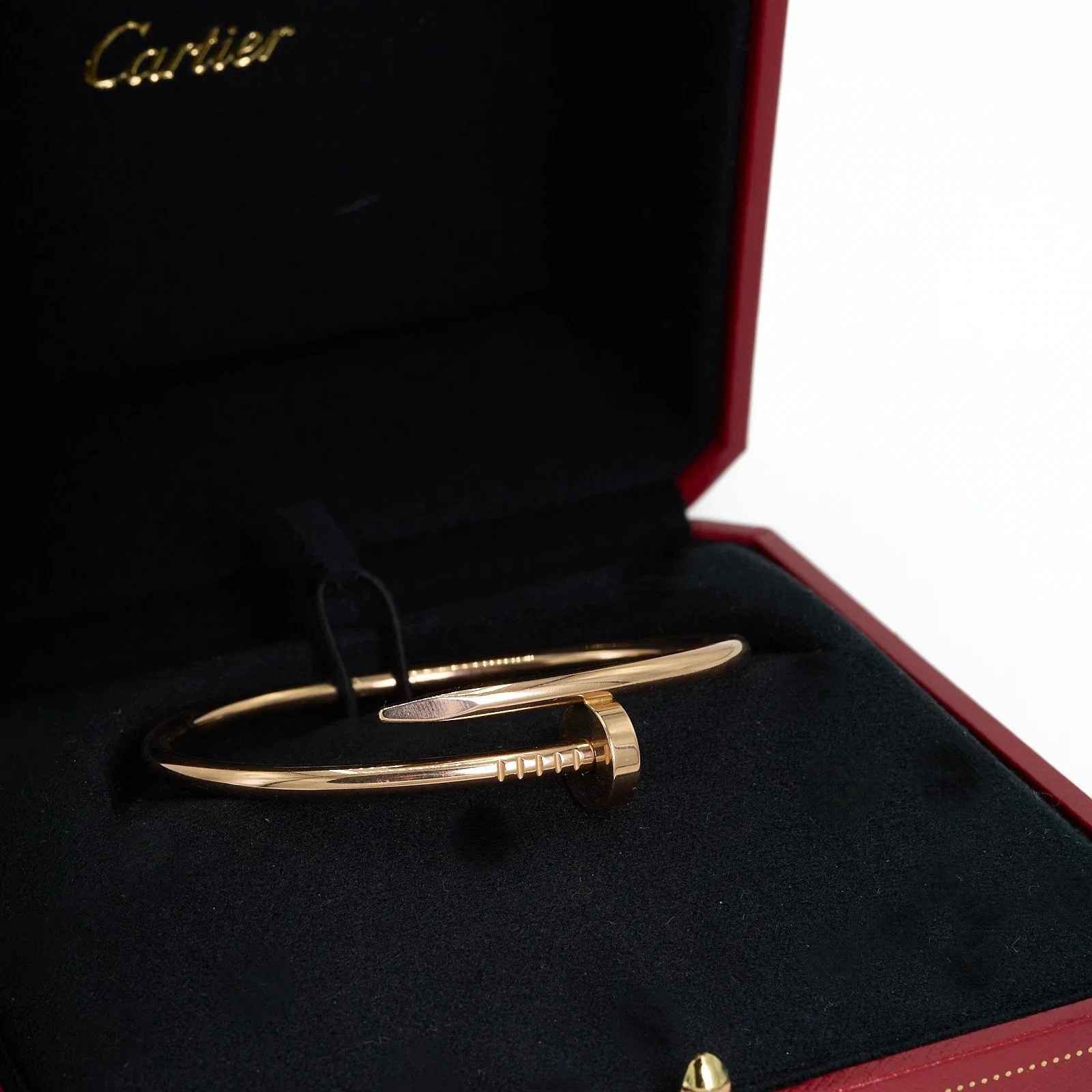 OSkAAeSwEfZpdcuI (1).jpeg