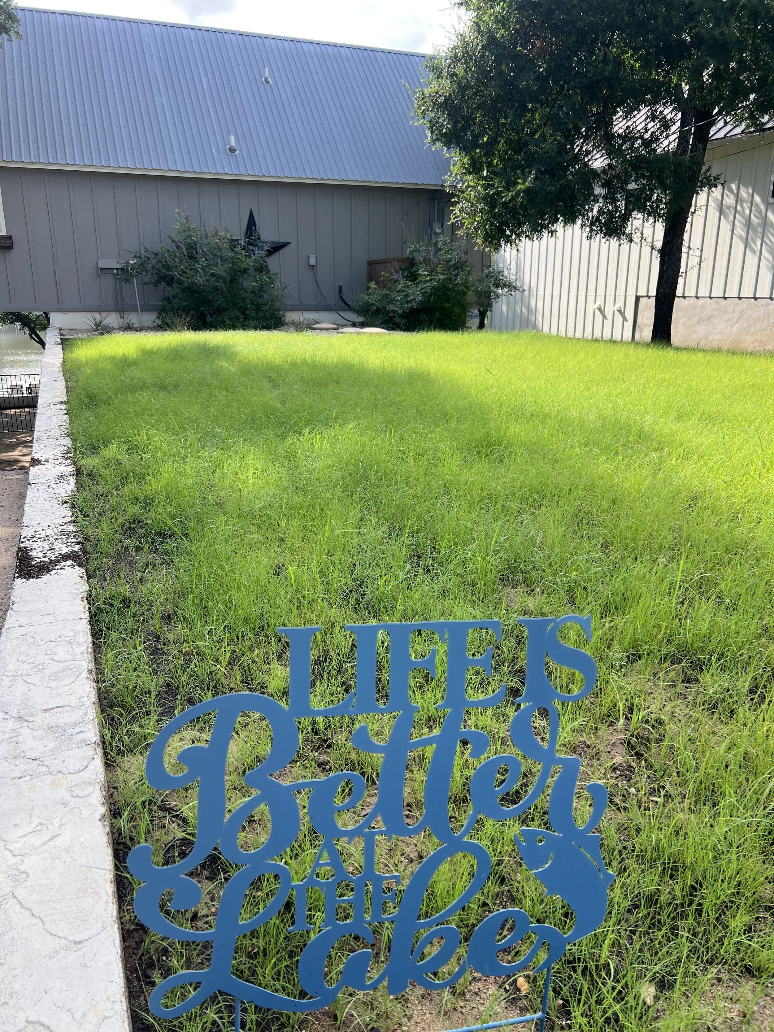 Thunder Turf Native Lawn
