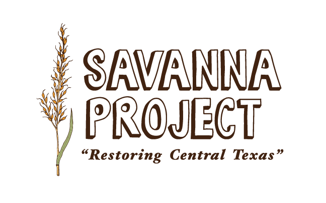 Savanna Project png.png
