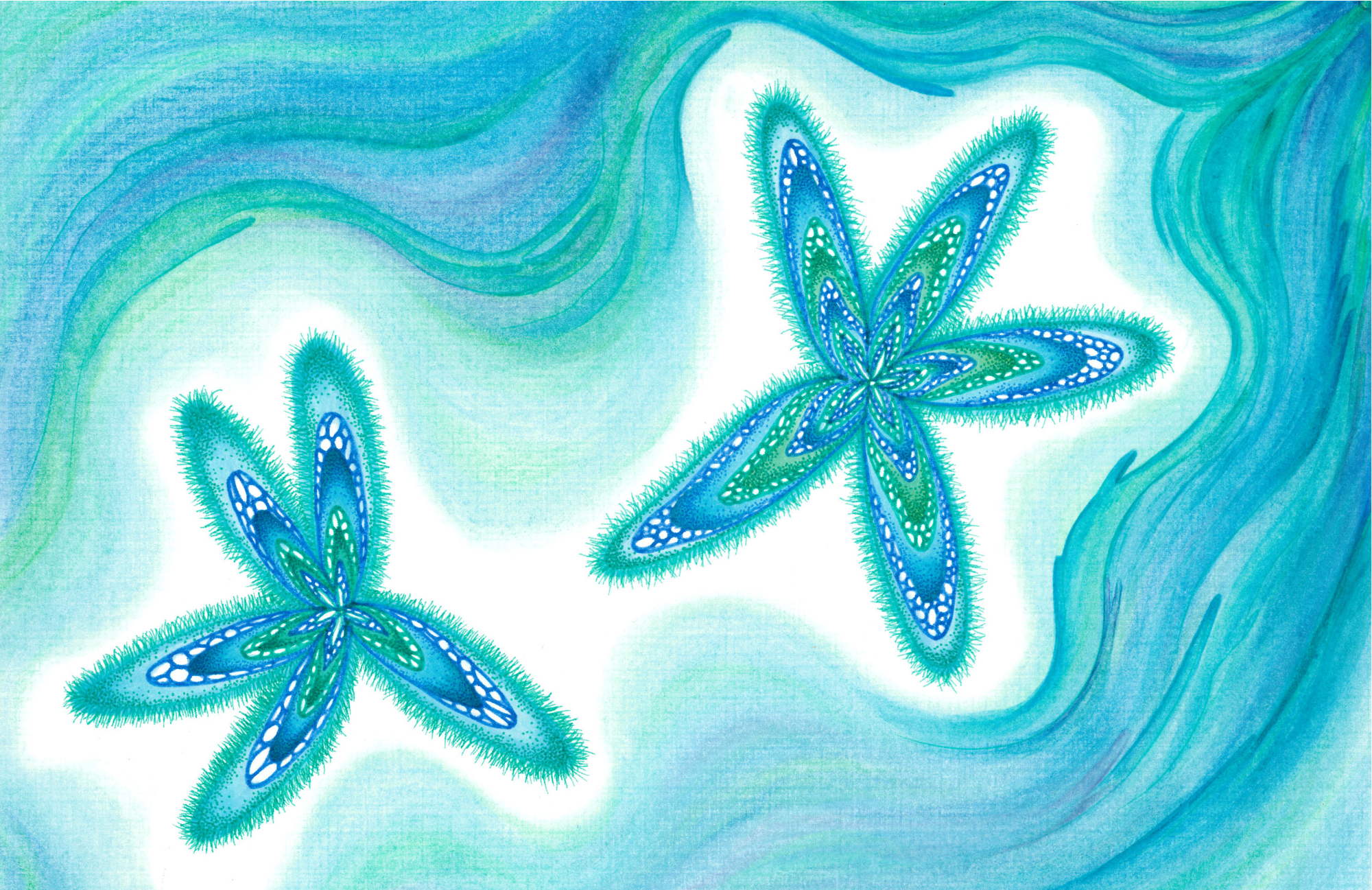 SPS-Card-Ocean-025-front_Print.png