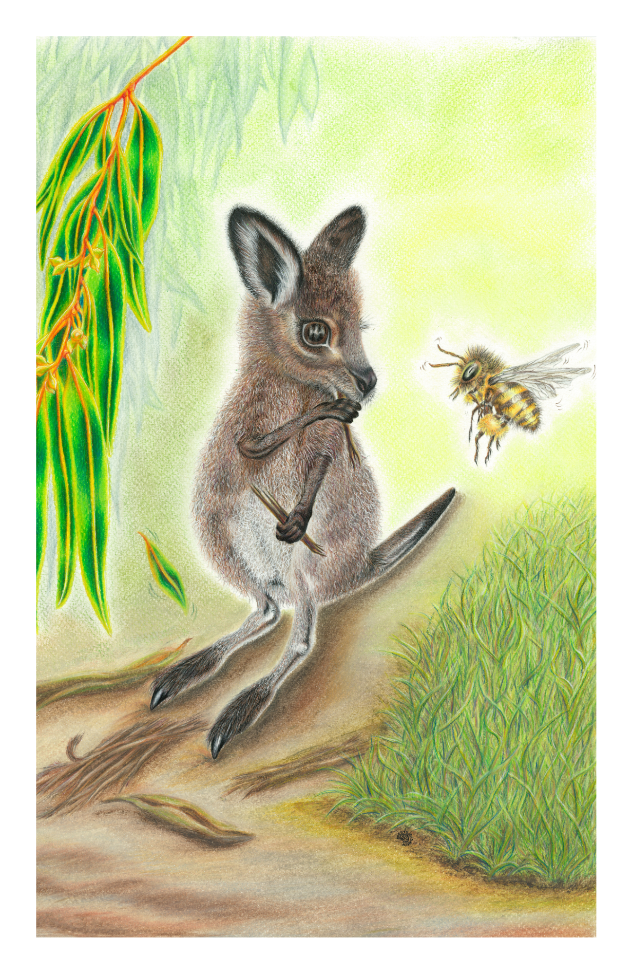 SPS-Cards-Joeys-003-front-Border_Print.png