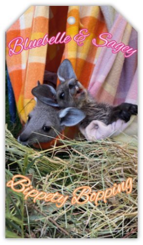 Swing Tag - Two Peas in a Pouch 010