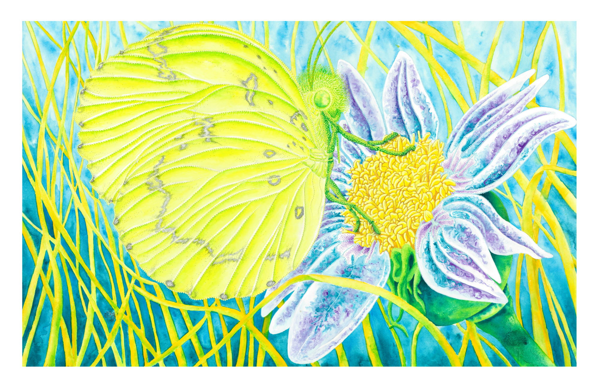 SPS-Card-Insects-009-front-border_Print.png