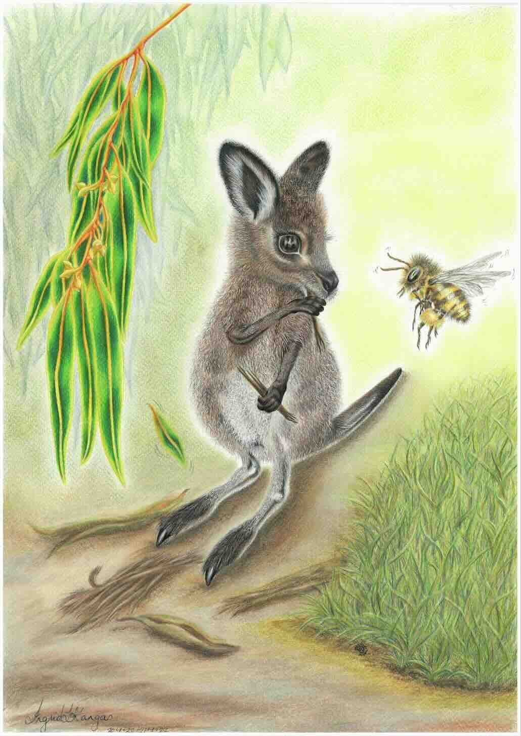 Joeys-003_Shelley-Native-Bee_colour_thumbnail.jpeg