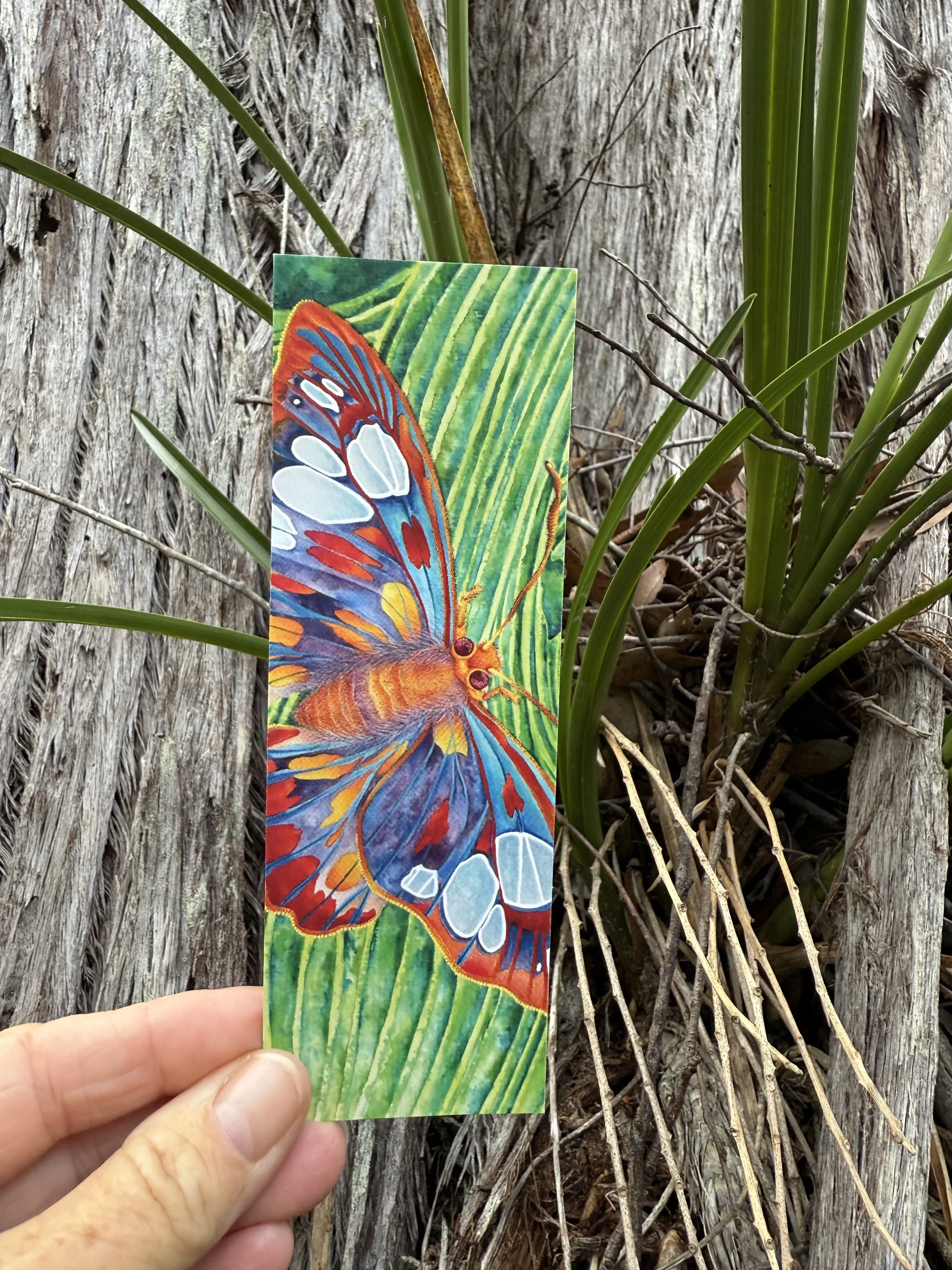 Bookmark - Red Eyed Flat Glowing Butterfly