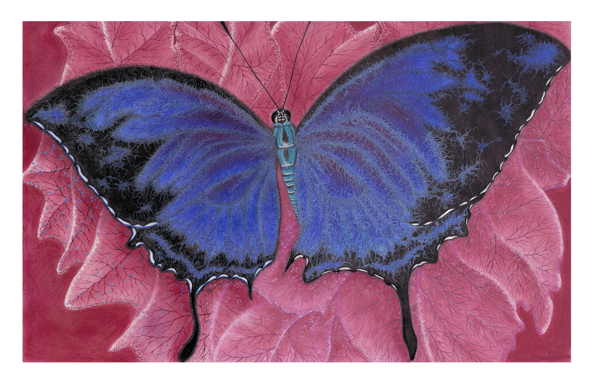 SPS-Card-Insects-011-front-border_Print.png