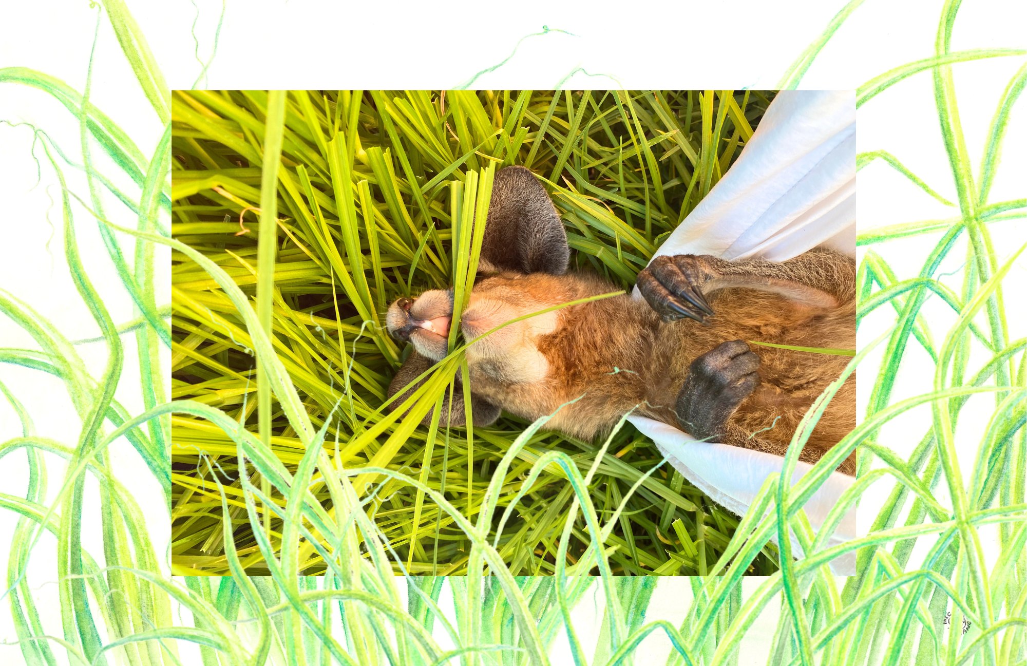 SPS-Card-Photos-H-010-front_Print.png