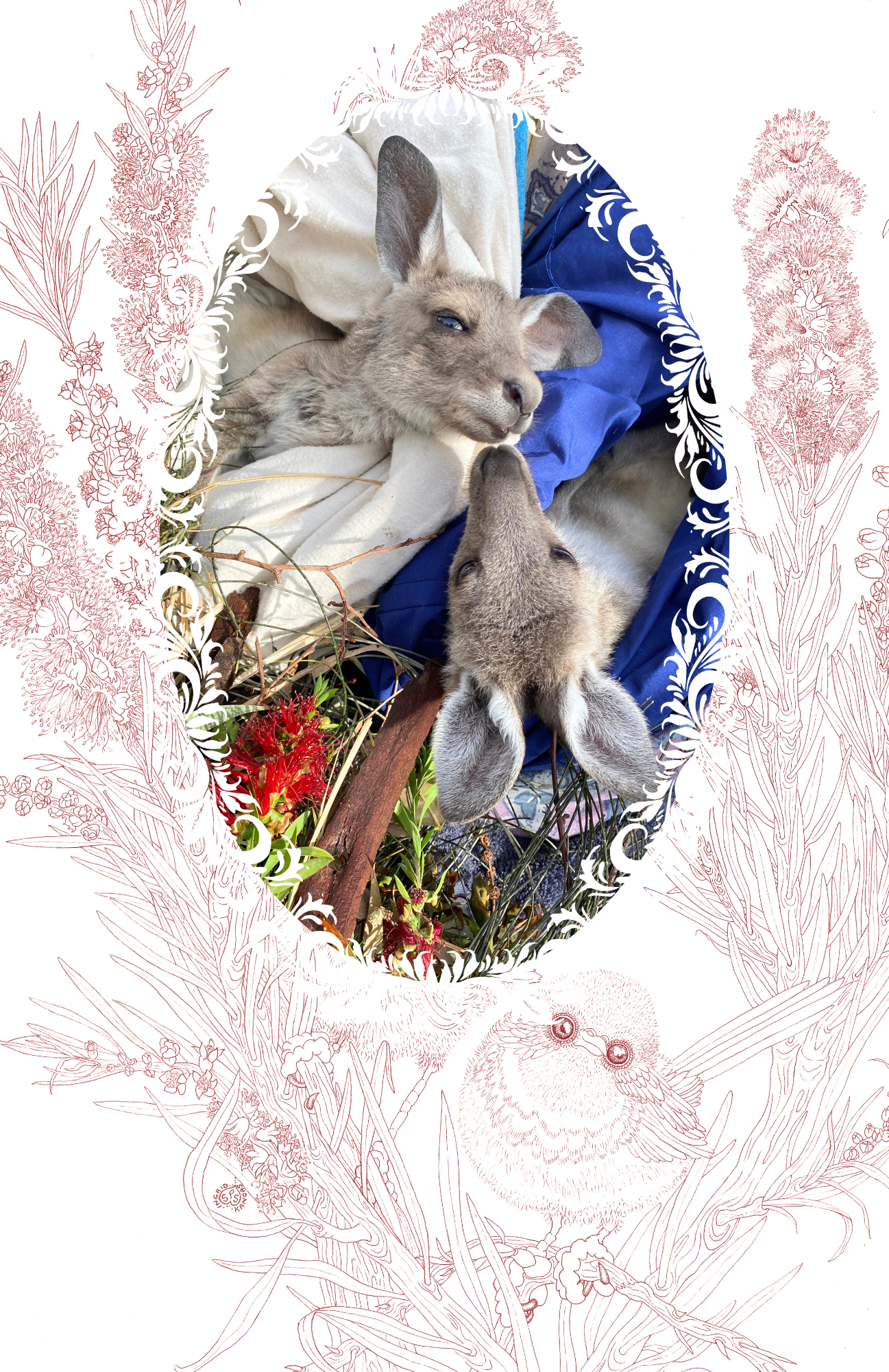 SPS-Cards-Photos-V-002-front_Print.png