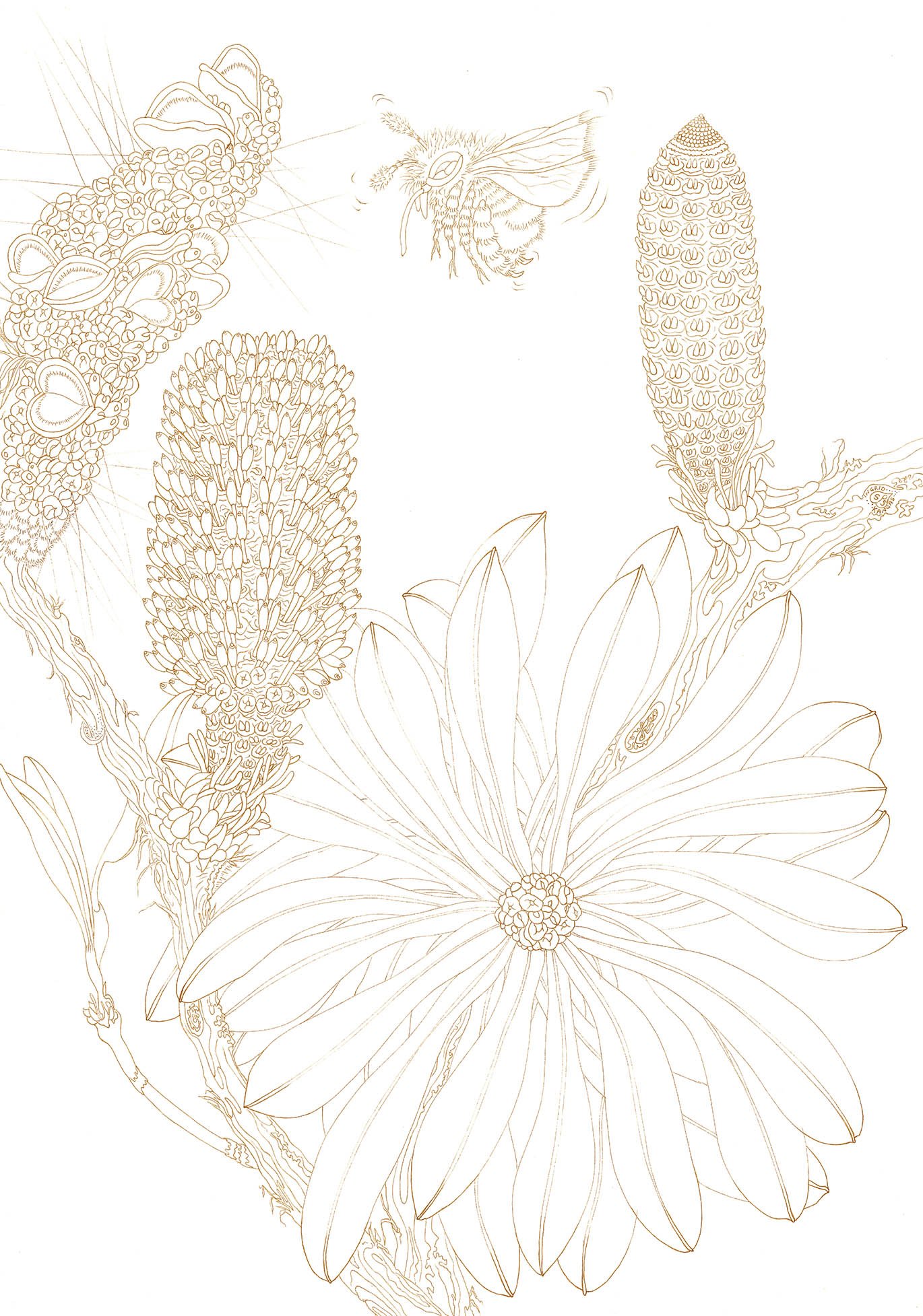 Insects-002_Trim_Low-res.jpg