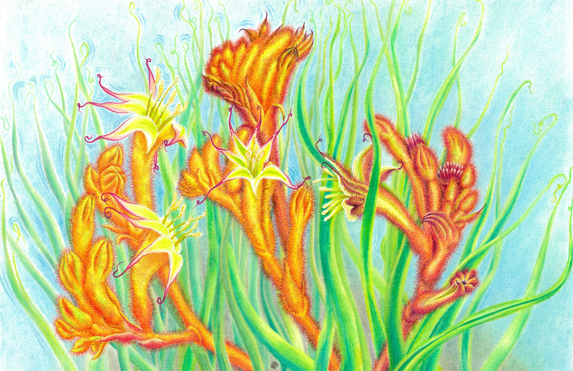 SPS-Card-Plants-005-front_Print.png