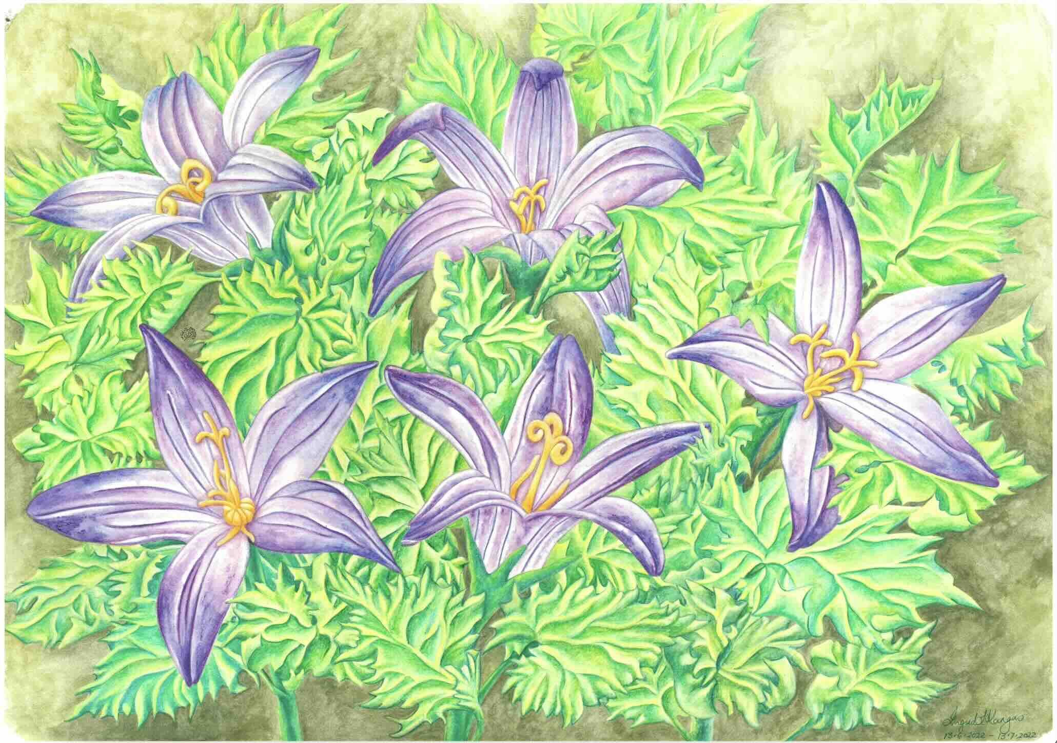 Plants-012_Watercolour-Bluebells-large_thumbnail.jpeg