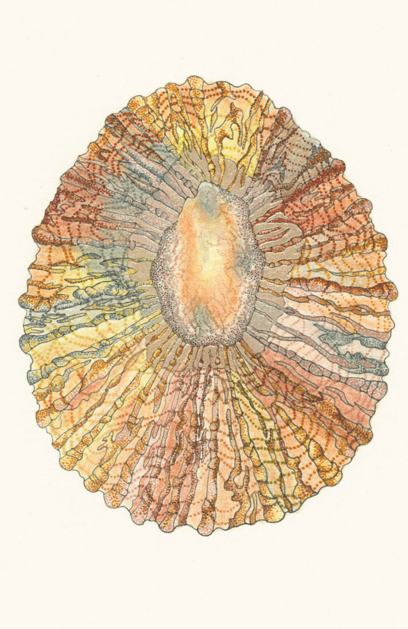 SPS-Cards-Ocean-008-front-Yellow_Print.png