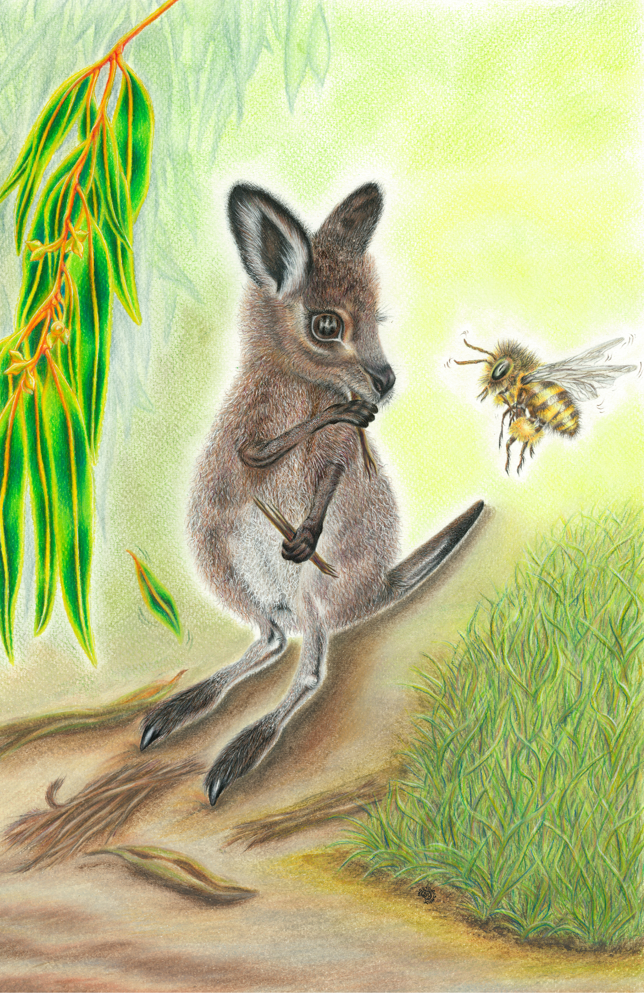 SPS-Cards-Joeys-003-front_Print.png