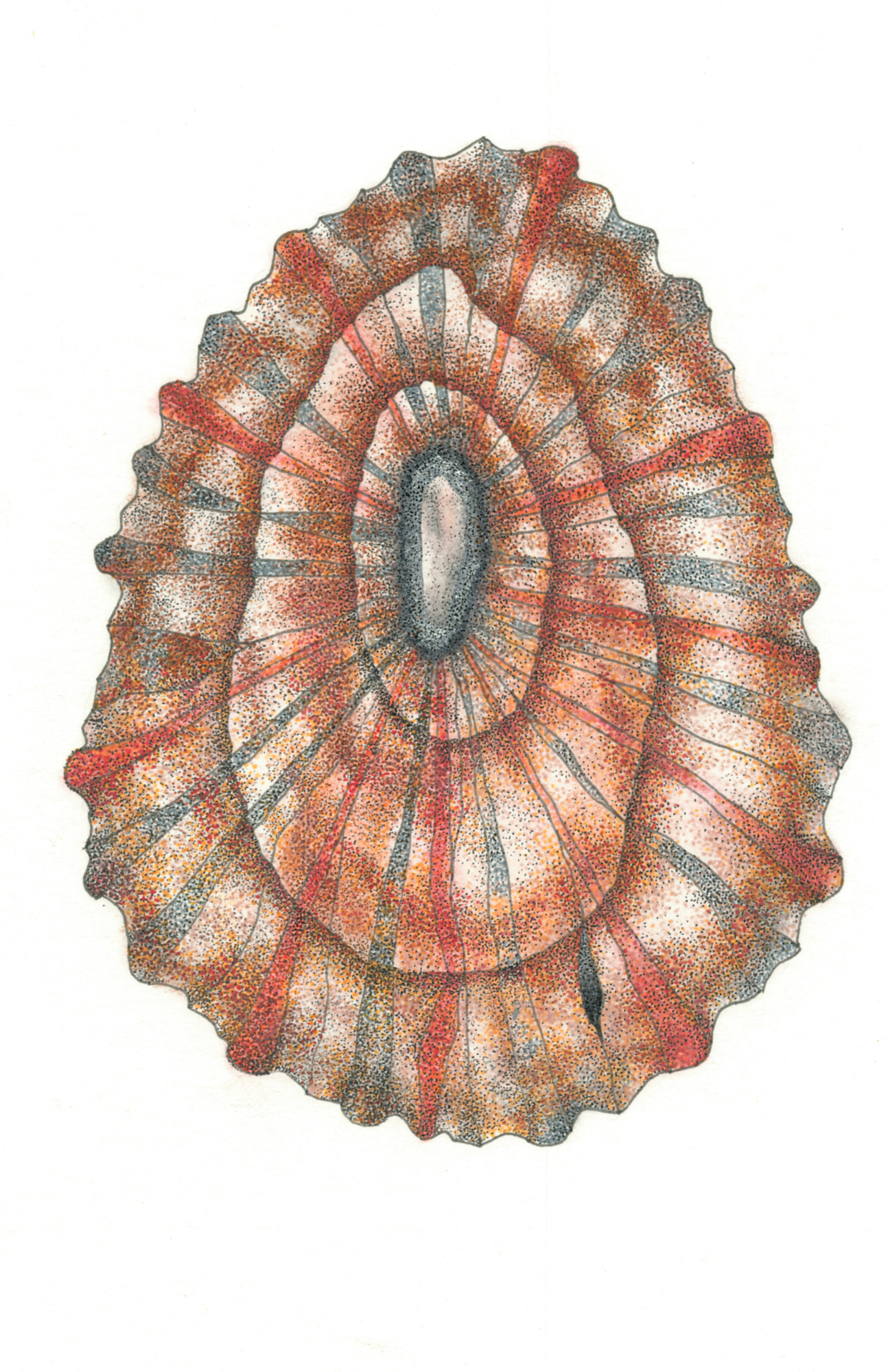 SPS-Cards-Ocean-007-front_Print.png