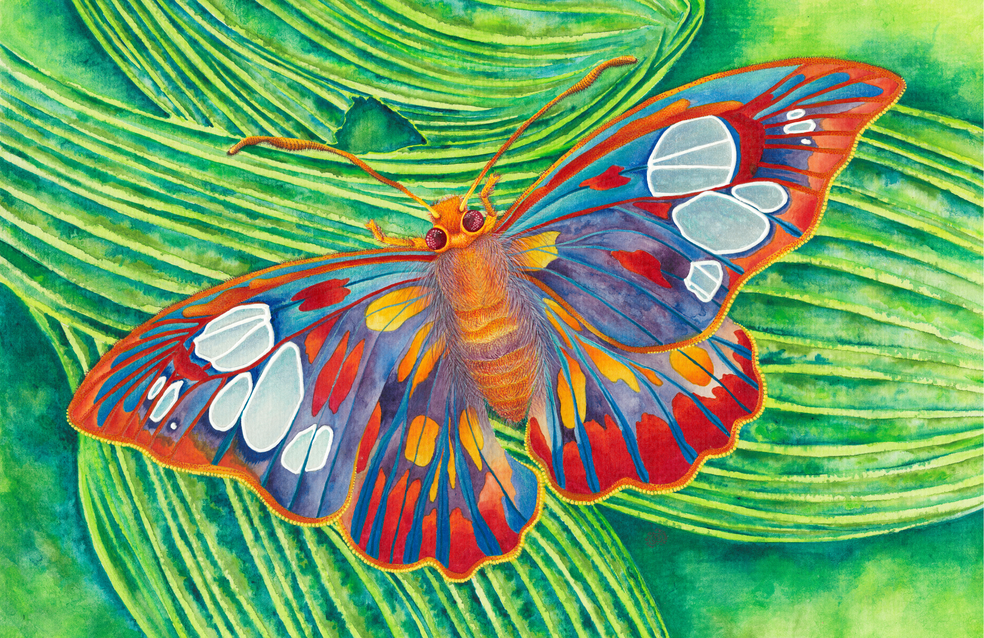 SPS-Card-Insects-005-front_Print.png