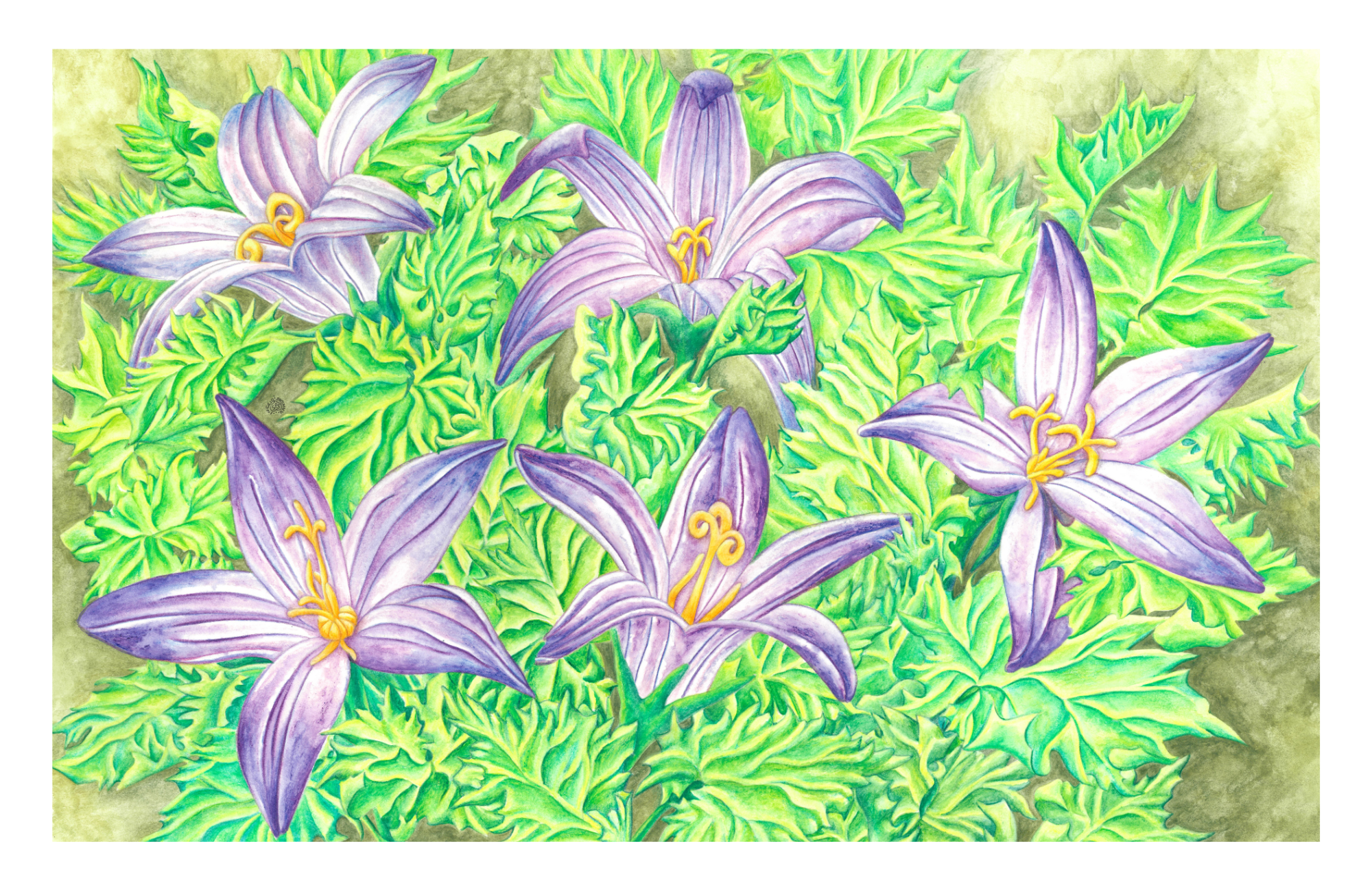 SPS-Card-Plants-012-front-border_Print.png