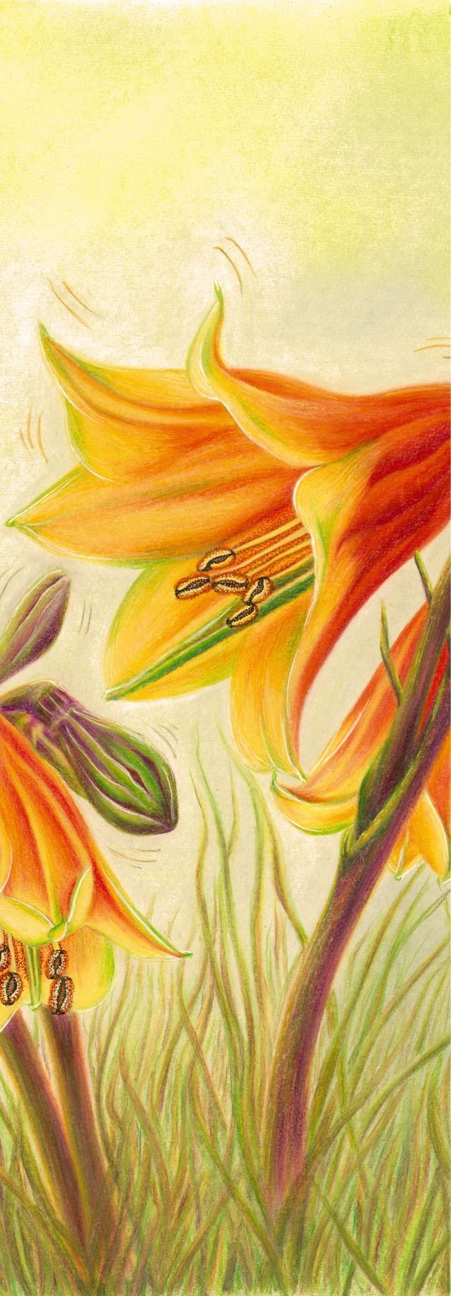 SPS-Bookmark-Plants-002-Front_Print.jpg