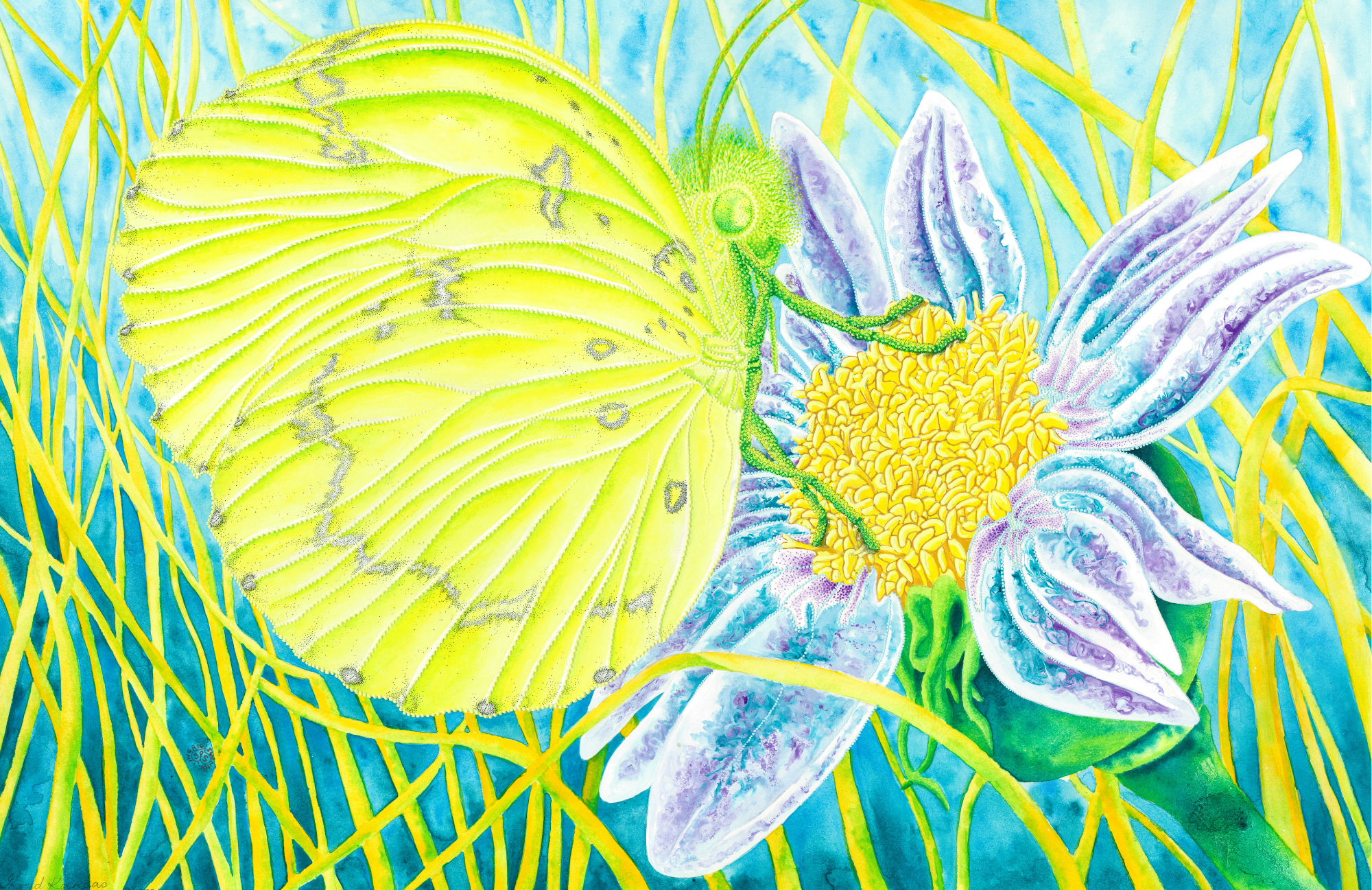 SPS-Card-Insects-009-front_Print.png