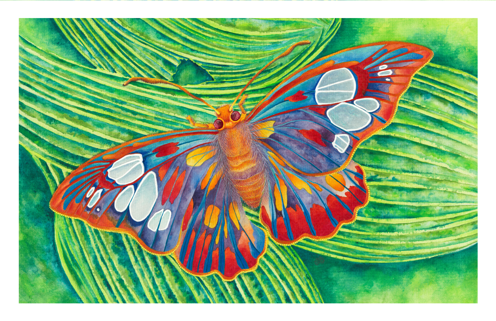 SPS-Card-Insects-005-front-border_Print.png