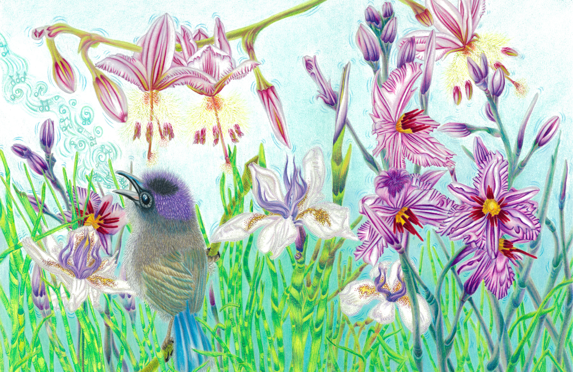 SPS-Card-Birds-001-front_Print.png