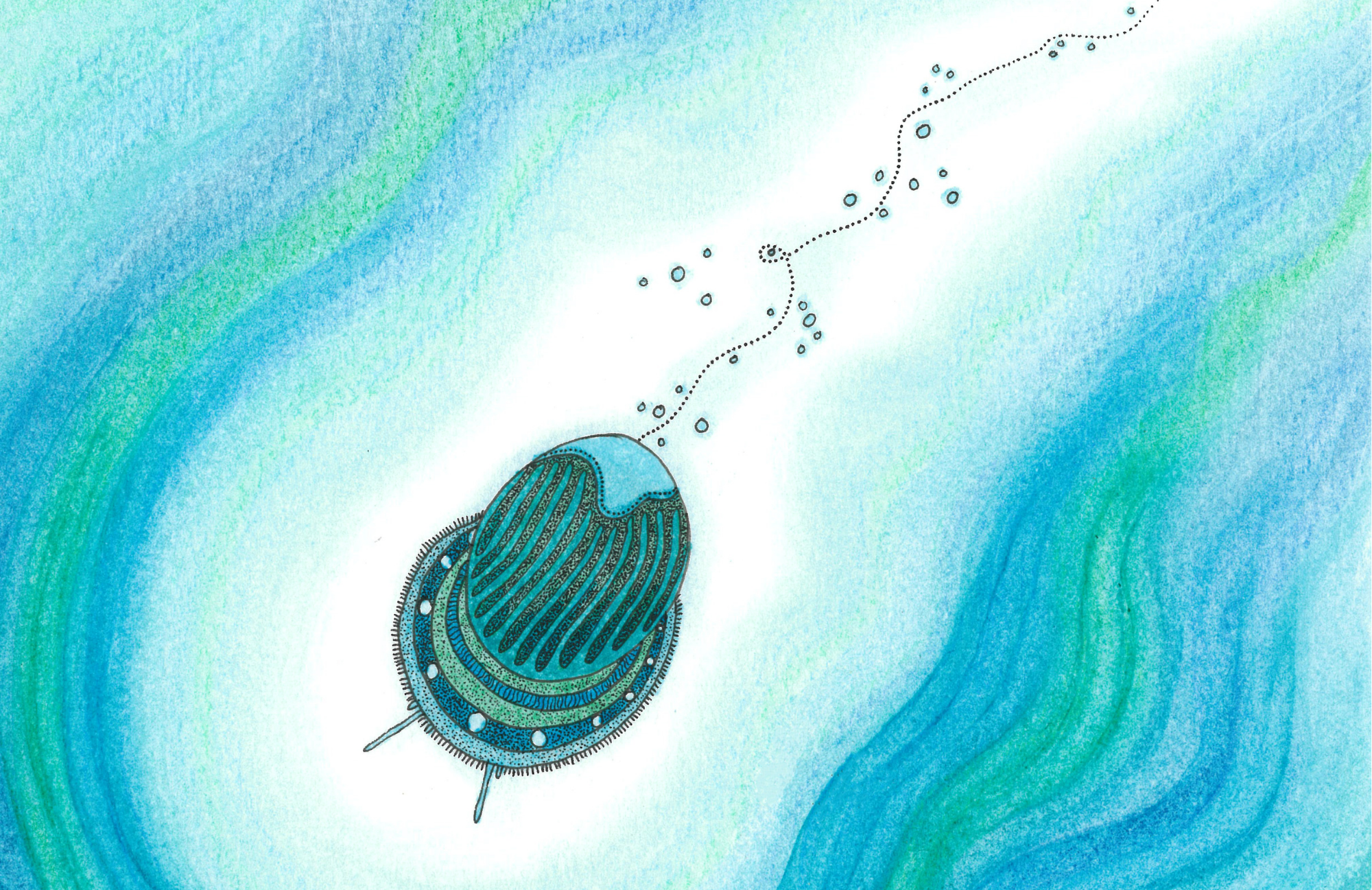 SPS-Card-Ocean-027-front_Print.png