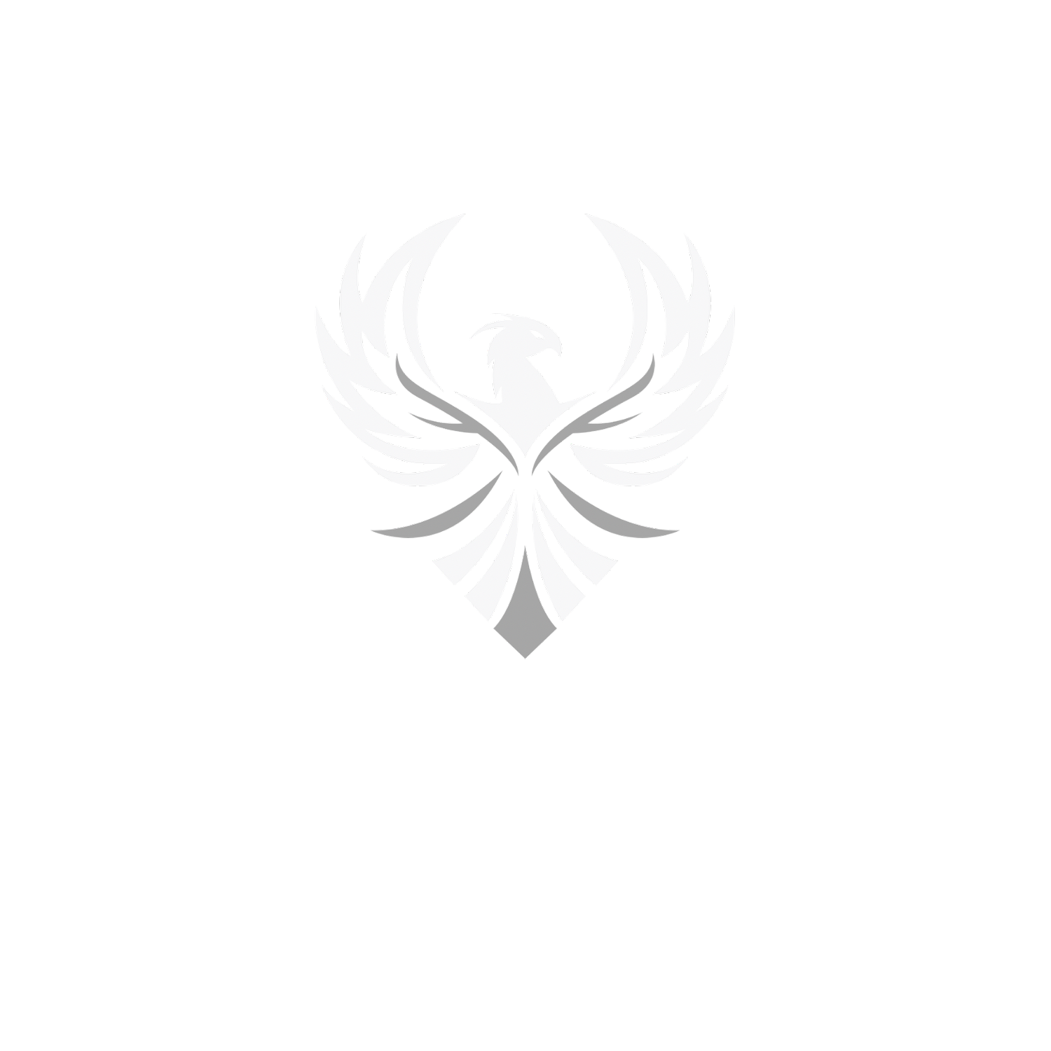 UChicago M&amp;A Group